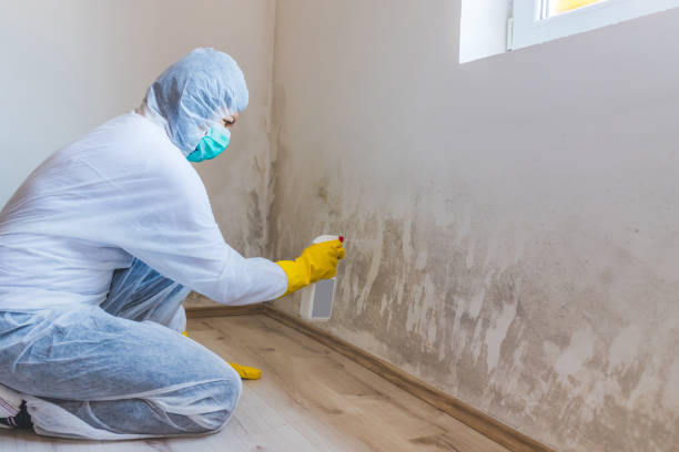 Hvac And Air Duct Mold Remediation inspection of HVAC system in Perry Hall